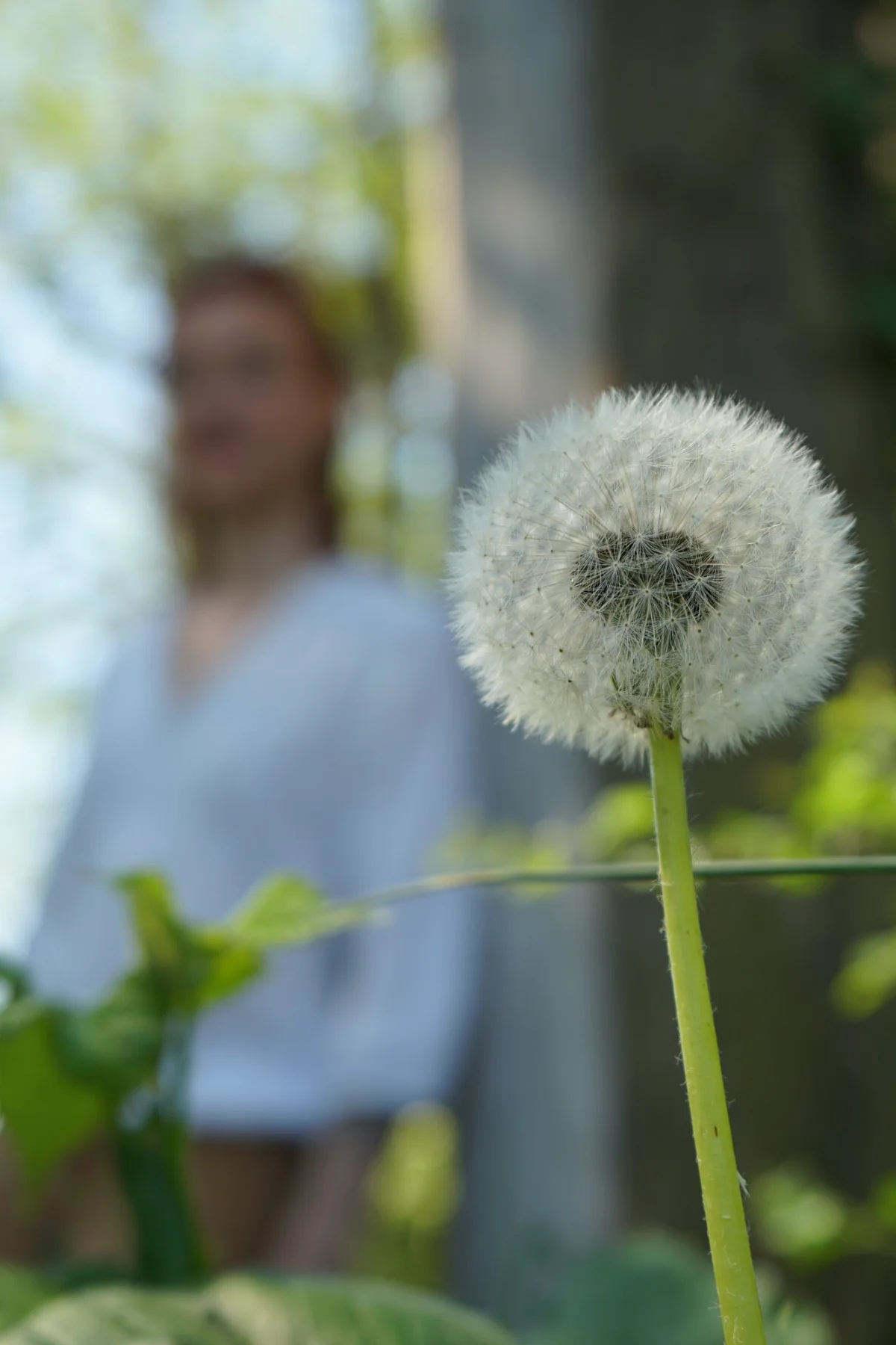 1re séance : Bilan de vitalité complet